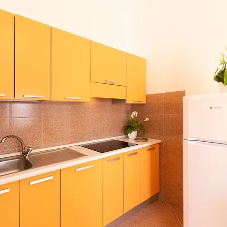 Oasy5 * 빌라시미우스